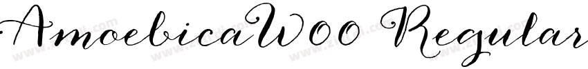 AmoebicaW00 Regular字体转换